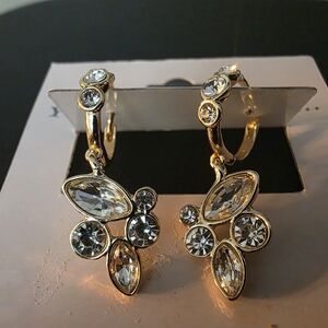 Elegant Gold and Silver Crystal Earrings